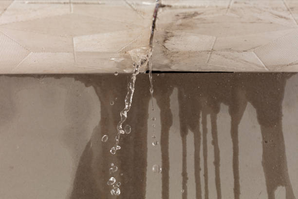 Professional Water Damage Repair technician working in Meridian, MS